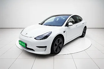 特斯拉Model 3 2021款 标准续航后驱升级版 3D6
